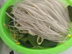 -皖北巫氏三胖地锅鸡(正大店)