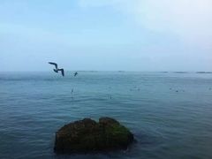 -海驴岛(荣成市)