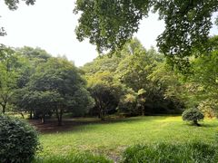 -杭州植物园