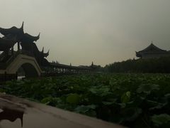 android_upload_pic-苏州人家(锦溪镇店)
