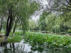 -后襄河公园