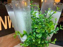 -探窝·竹笙椰子鸡(杨箕店)