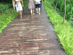 -重庆彩云湖湿地公园