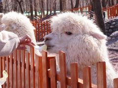 -北京野生动物园