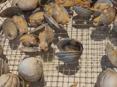 -海味当家·蒸锅海鲜(星海公园店)