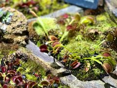 -国家植物园南园