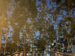 -海沧湾公园