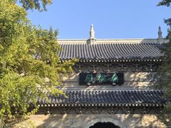-灵谷景区