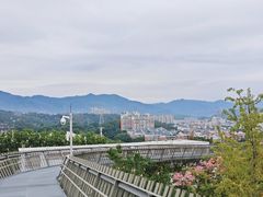 -福道