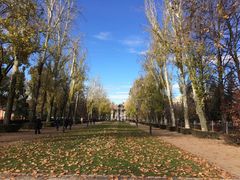 雷蒂罗公园&nbsp;(Parque&nbsp;del&nbsp;Retiro)-丽池公园