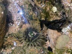 -青岛第三海水浴场