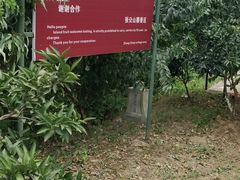 -张公山寨景区