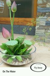 android_upload_pic-花落谁家婚礼策划(永安街店)