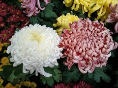 -共青国家森林公园-售票处