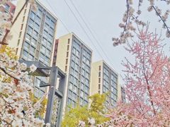 -安定门(地铁站)