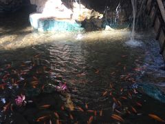-森谷美食公园(杨行店)