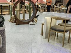 -喵园·猫主题咖啡厅·撸猫·猫咖(国贸店)