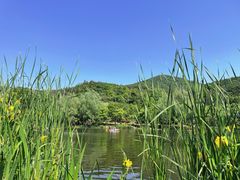 -石塘人家