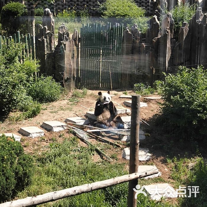 大連森林動物園