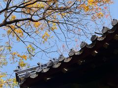 -灵谷景区
