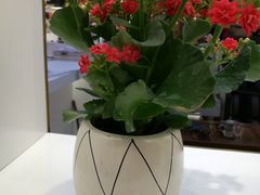 -湛江鑫海名城(鑫海华庭店)