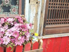 -房子红了鱼豆花重庆老火锅(广厦学院店)