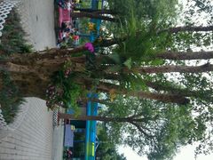 android_upload_pic-东部华侨城