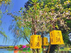 -尚湖风景区