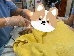 -东日国际动物医院·CT·心脏专科(桃源分院)