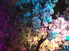 -爵士花园音乐酒吧餐厅