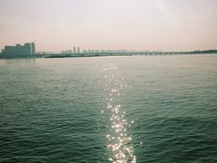 -人民防洪胜利纪念塔