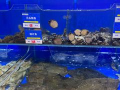 -船梆煮•蒸汽海鲜·生腌干蒸(五四广场店)