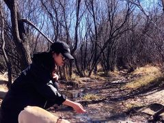 -塞罕坝国家级自然保护区