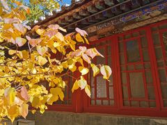 -潭柘寺景区