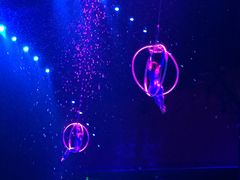 -珠海横琴长隆《卡卡虎奇遇记》