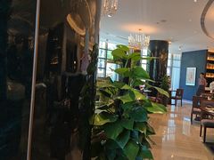 -上海兴国宾馆香樟园西餐厅