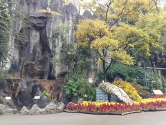 -昆明动物园
