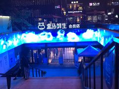 -盒马鲜生(杭州运河上街店)