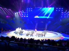 -珠海横琴长隆《卡卡虎奇遇记》