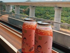 -奈雪的茶(深圳北站店)