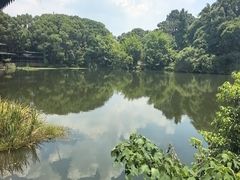 -张鸟园农家乐(张鸟园店)
