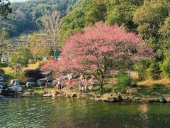 -中国茶叶博物馆(双峰馆区)