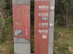 -梧桐山风景名胜区