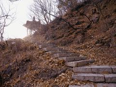 -大觉寺-停车场