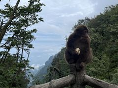 -峨眉山风景名胜区