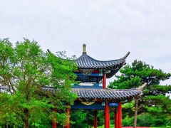 -黑龙江省森林植物园