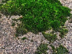 -西南交通大学(峨眉校区)