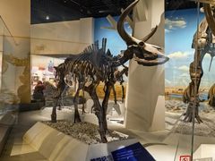 -国家自然博物馆