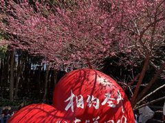 -瑞安圣井山景区