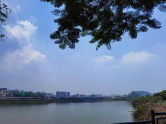 -立新湖公园